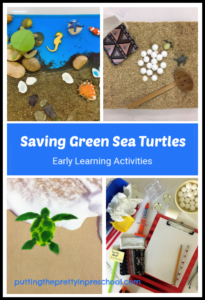 Saving green sea turtles cover photo.