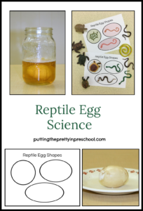 Reptile egg activities. Make a rubbery reptile egg and use turtle and snake figurines with egg theme play mats.