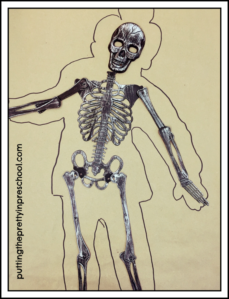 Body tracing with skeleton bones added.