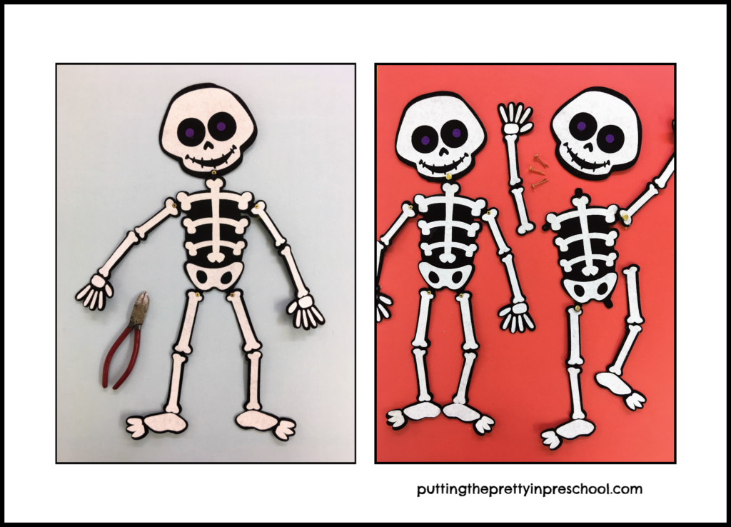 A felt skeleton unhinged. Paper fasteners and a model skeleton aide in helping children put the skeleton back together.
