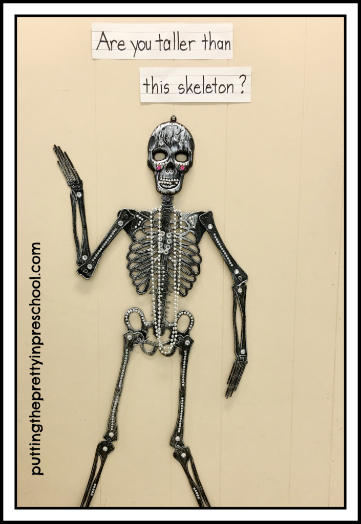 A decorative wall decor skeleton hung on a wall. Invitation for children to compare their height with the skeleton.