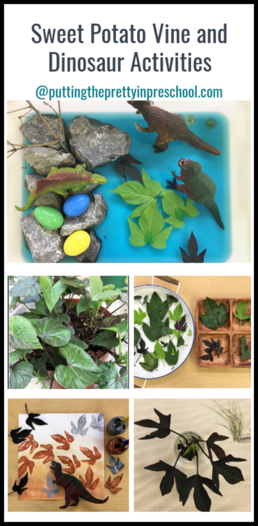 Preschool dinosaur and sweet potato vine sensory, art and nature activities.
