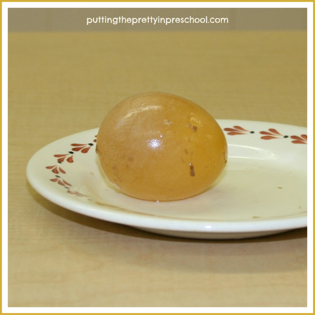 An unboiled egg after being immersed in cider vinegar for two weeks.