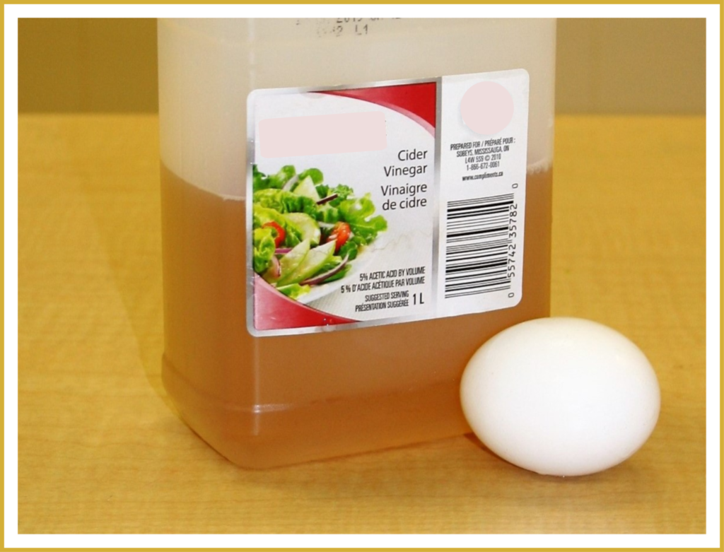 A container of cider vinegar and an egg.
