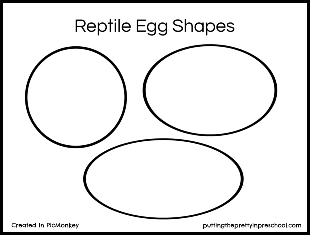 Reptile egg shapes printable to color and cut. Or invite children to place snakes and turtles in the circle, oval and oblong-shaped eggs.