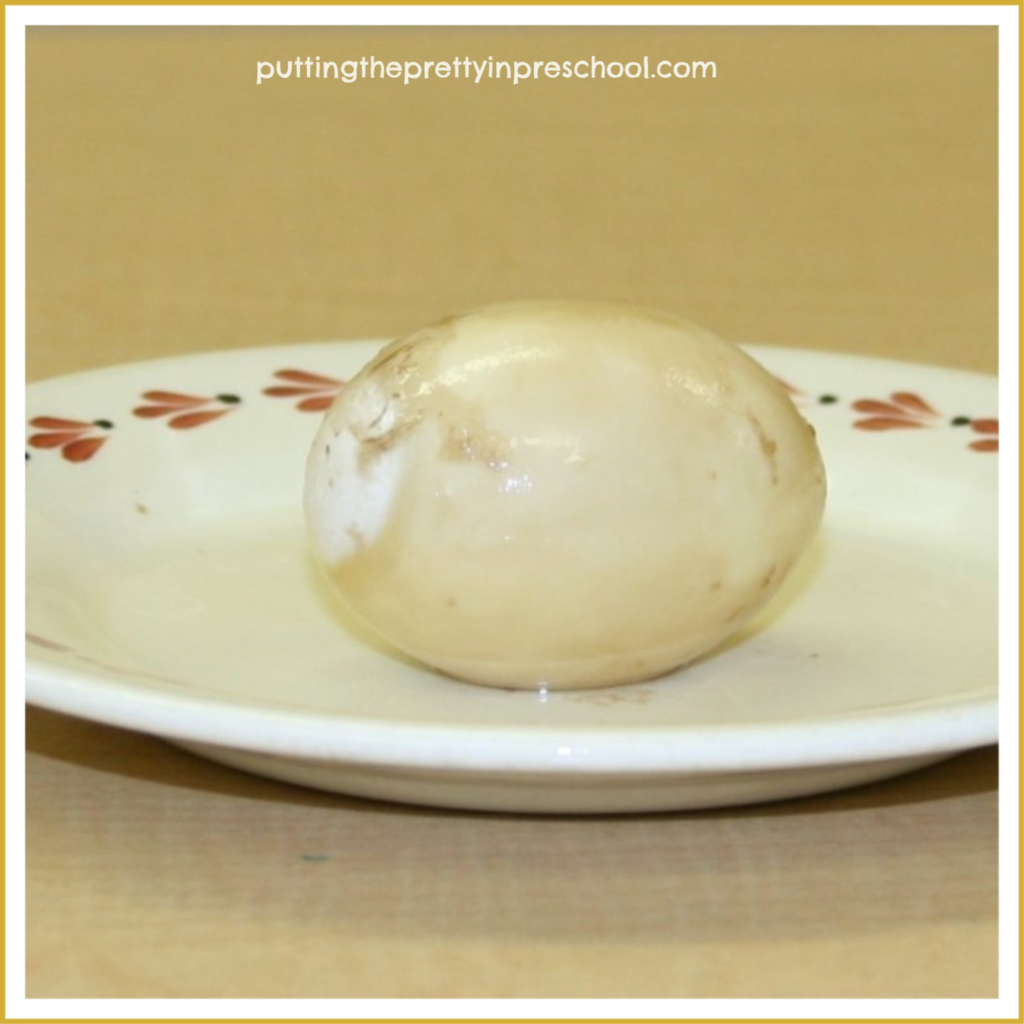 A boiled egg taken out of cider vinegar after two days.