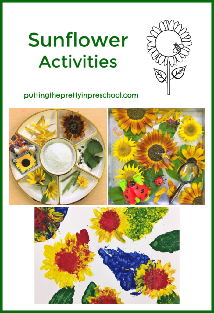 Art, nature and sensory activities with a variety of sunflowers and their parts.