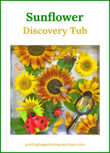 Sensory tub with sunflower heads and leaves, insects, binoculars and a magnifying glass.