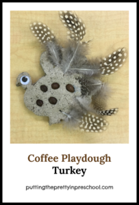 Playdough turkey made with easy to make coffee dough, feathers and espresso beans. An all-ages Thanksgiving Day activity.