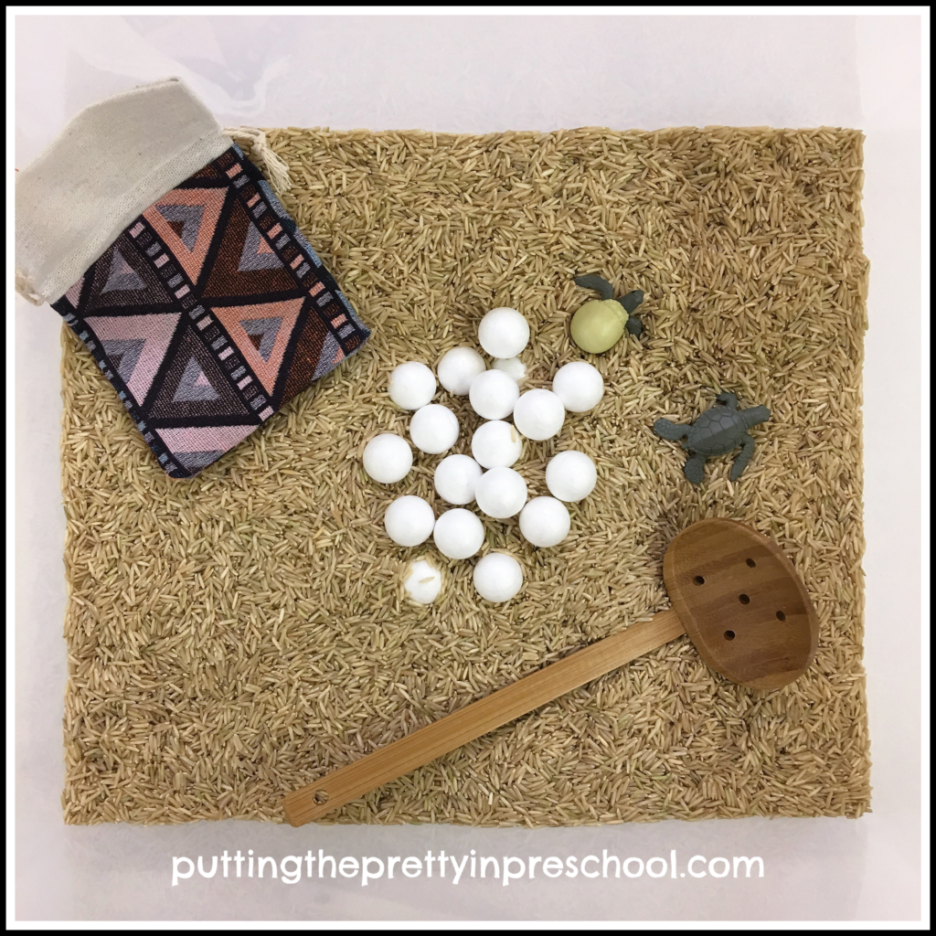 Sea turtle egg and hatchling rice sensory bin.