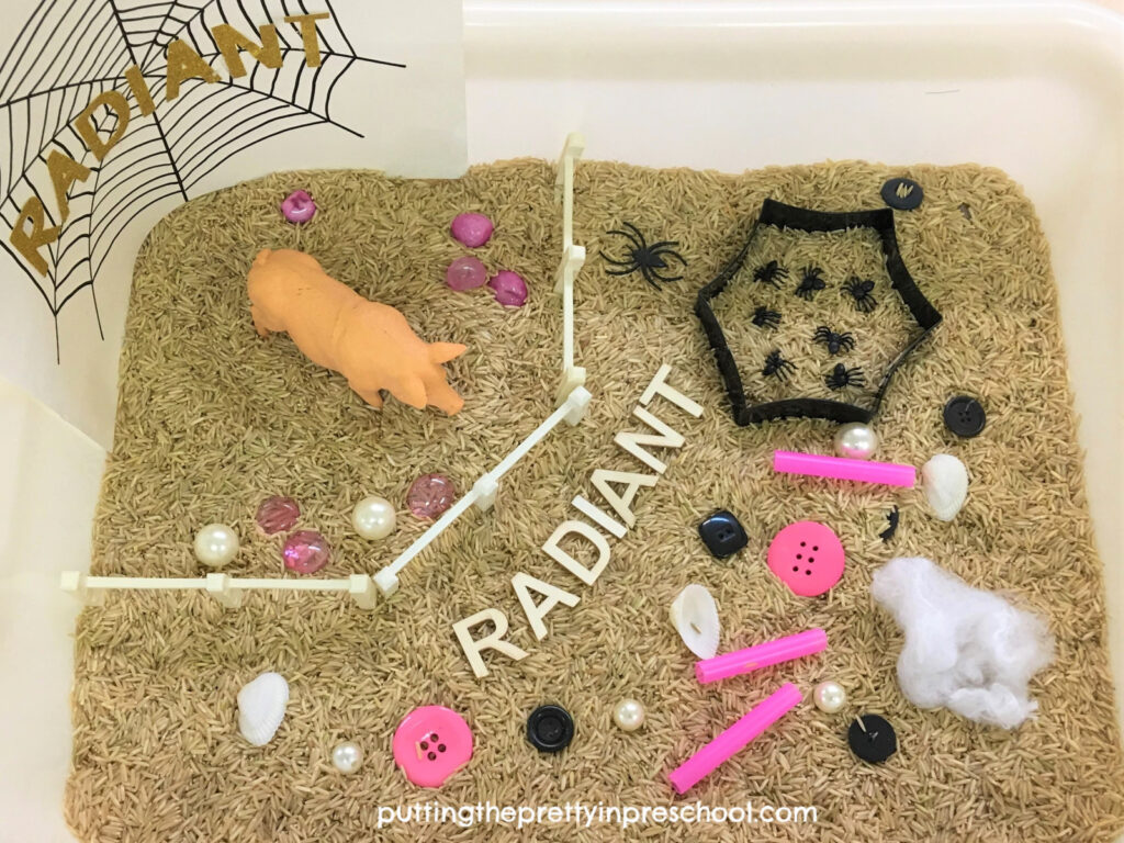 Wilbur's pen in the barn rice sensory bin with a spider web printable.
