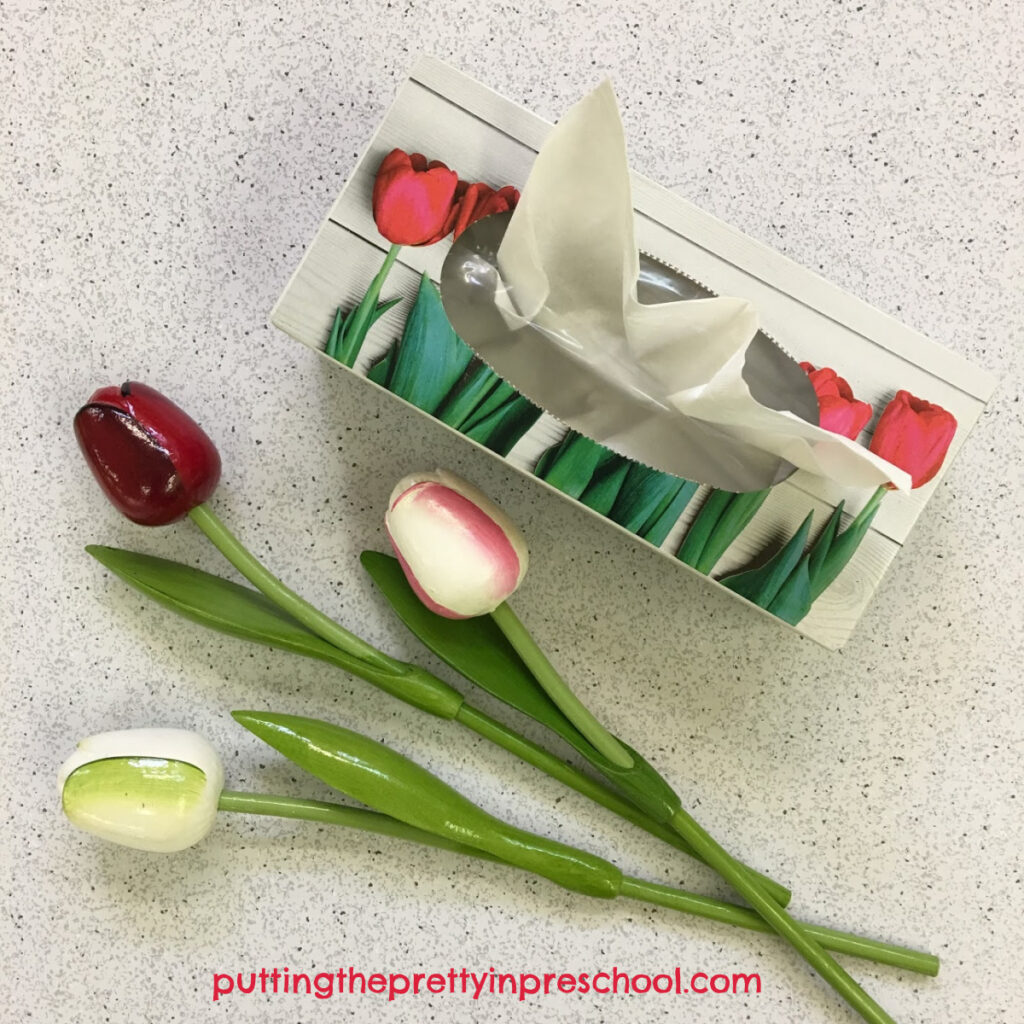 Tulip themed tissue box that is an inspiration for the tulip painting project.