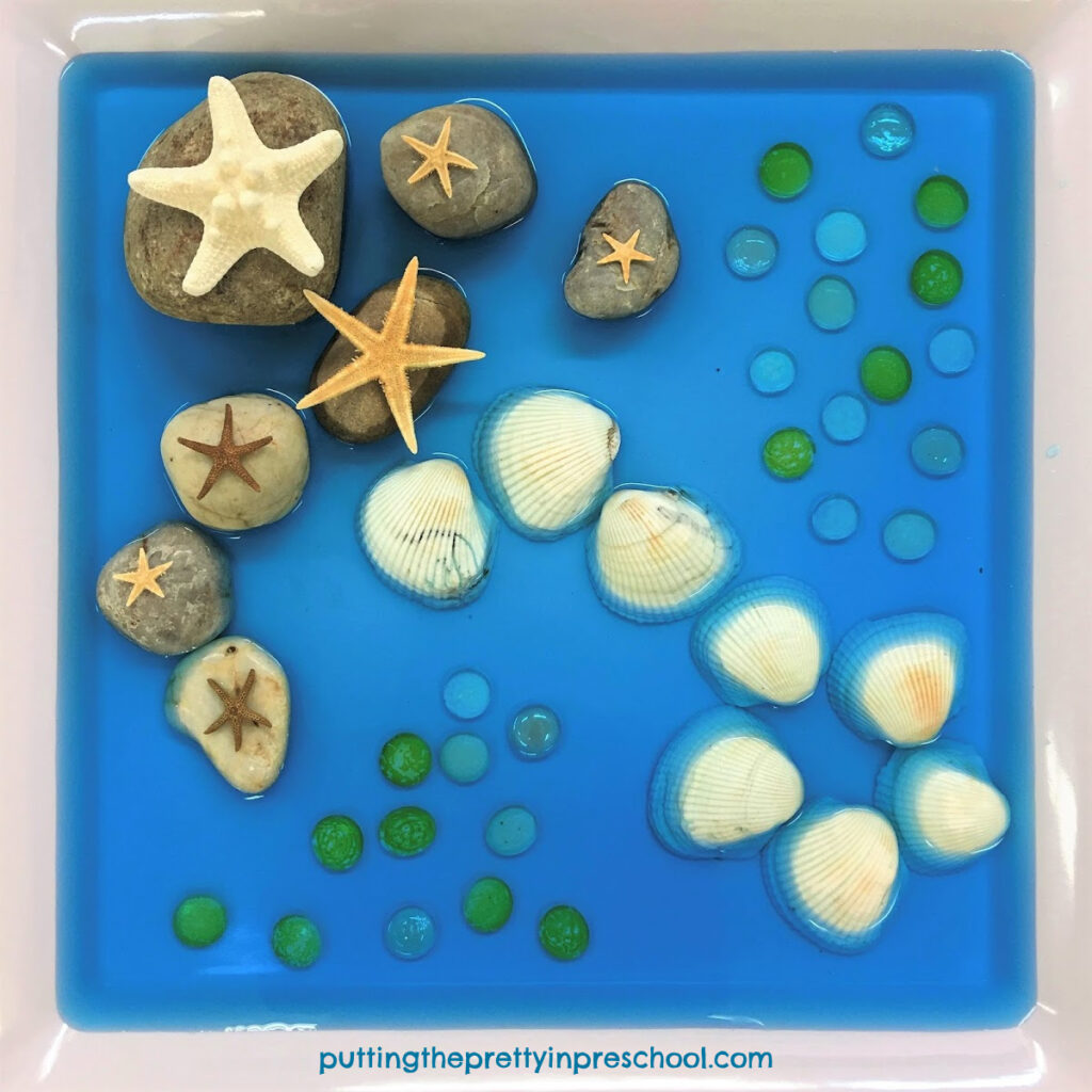 Sea star sensory tray with different sized sea stars and rocks, shells, and gems. The base for the sensory tray is blue water.