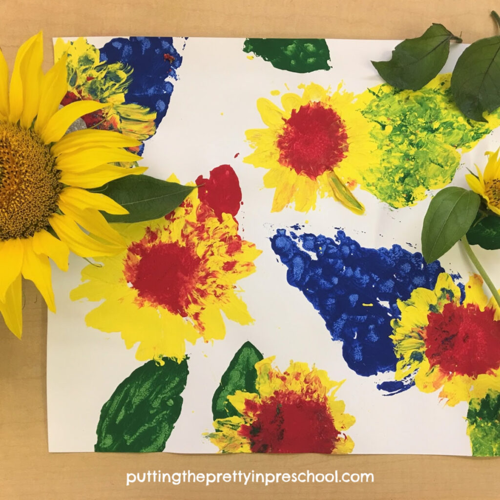 Paint prints with sunflowers. Tempera paint and primary colors used with leaves and heads of sunflowers. This is an all-ages activity.