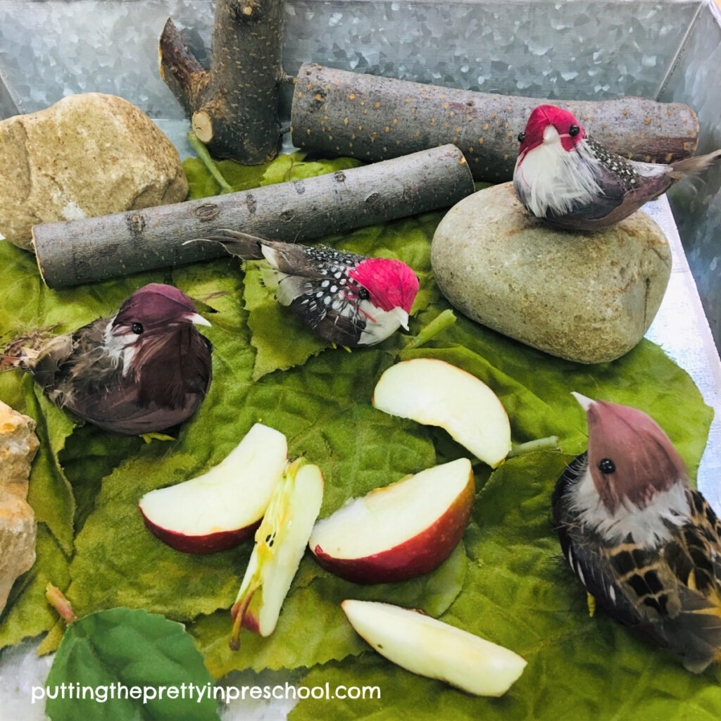 Small world with apples, bird figurines, tree blocks, rocks, and leaves.