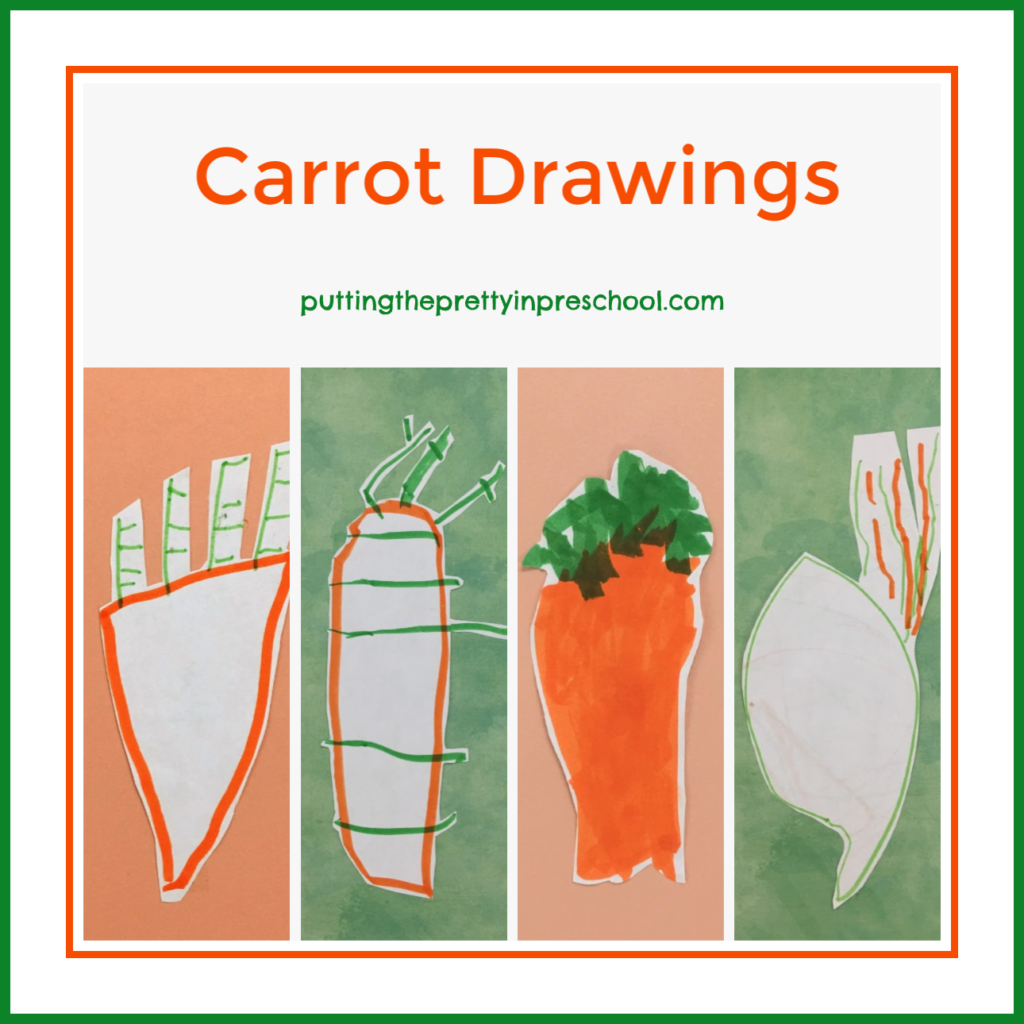 Carrot drawings completed by preschoolers.