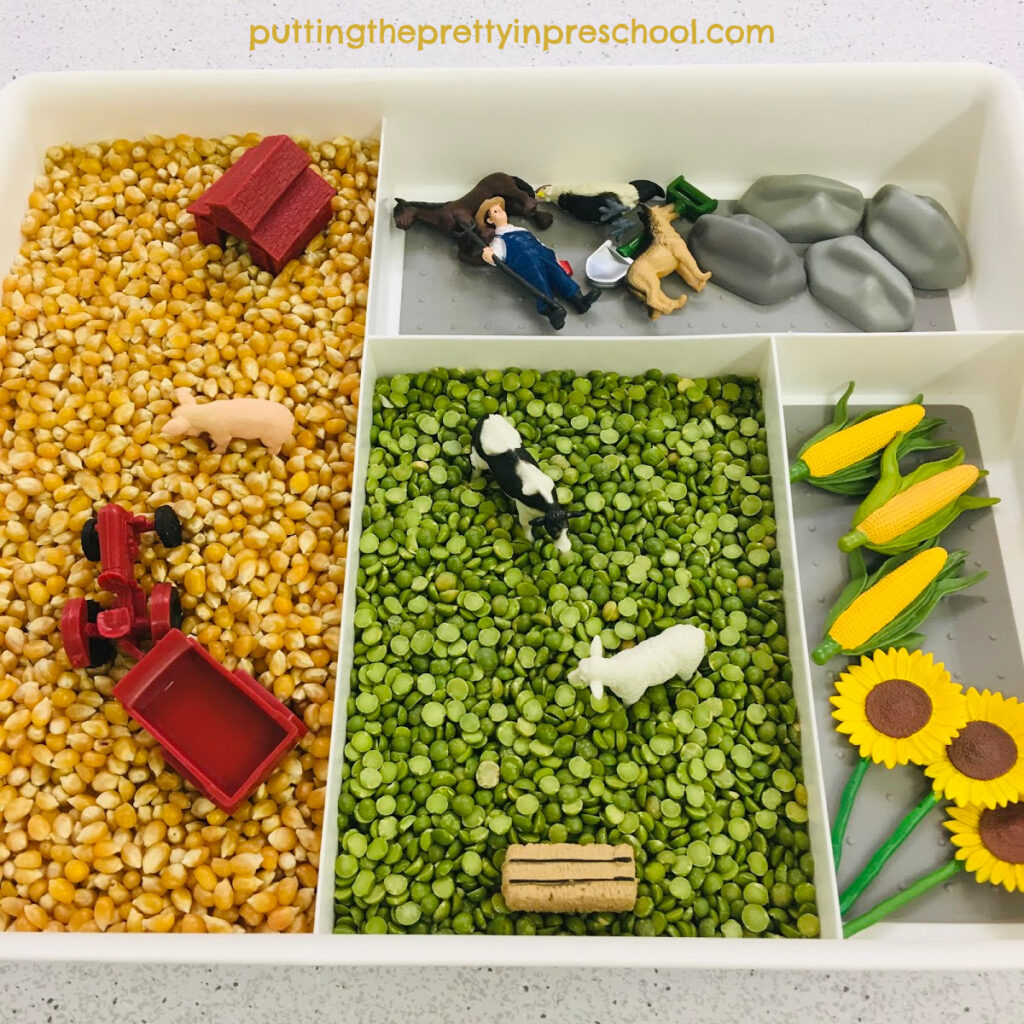 Farm sensory tray with a corn kernel and split pea base.