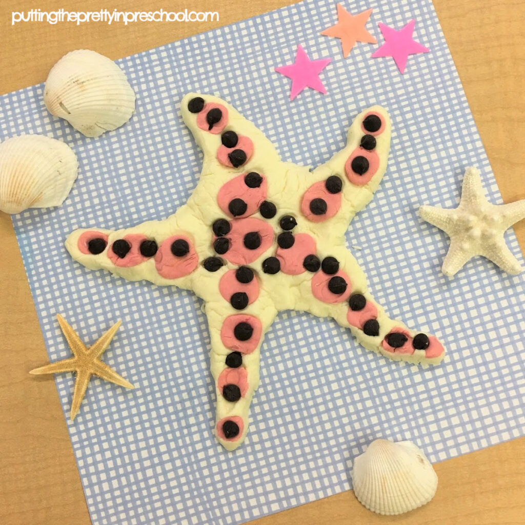 Chocolate chip sea star made with taste safe playdough.