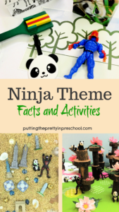 Ninja theme featuring sensory, small world, art, large motor, and pretend play activities. Ninja facts and picture book inspiration included.
