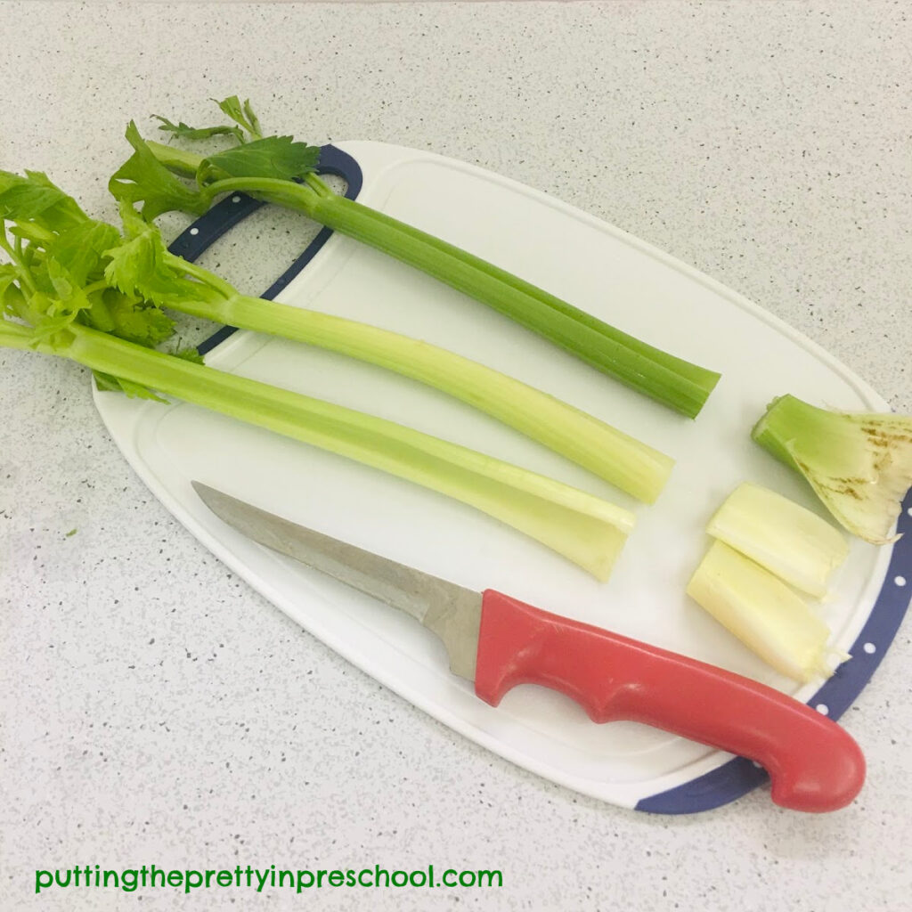 Celery stalks with ends cut off.