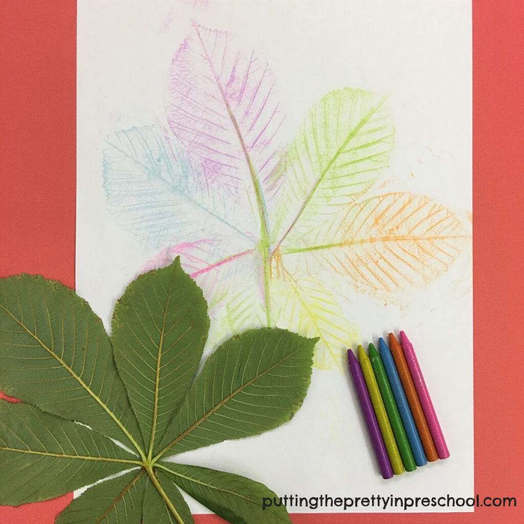 Horse chestnut leaf rubbing with crayons.