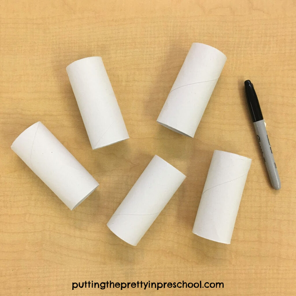 Toilet paper rolls ready for crafting.