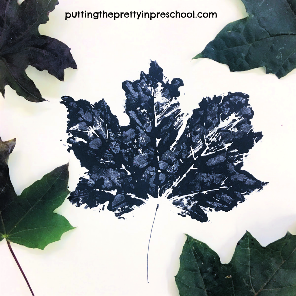 Maple leaf paint print with black tempera paint.