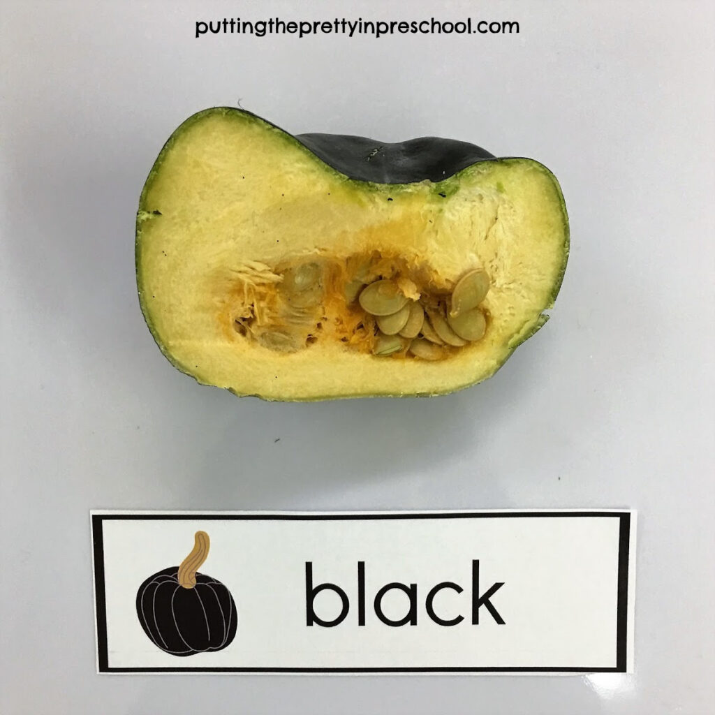 Black pumpkin cross-section showing pulp and seeds.