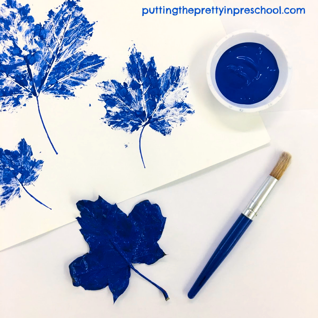 Maple leaf paint prints with blue tempera paint.