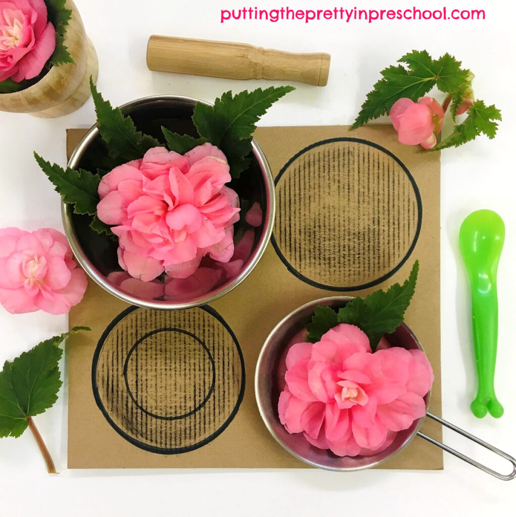 Flower-themed indoor mud kitchen. Nonstop pink begonia leaves and flowers, mortar and pestle, pots and pans, and a cardboard stove top complete the play invitation.