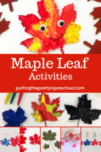 Maple leaf paint print activities. Art, math, and display ideas for maple leaves.