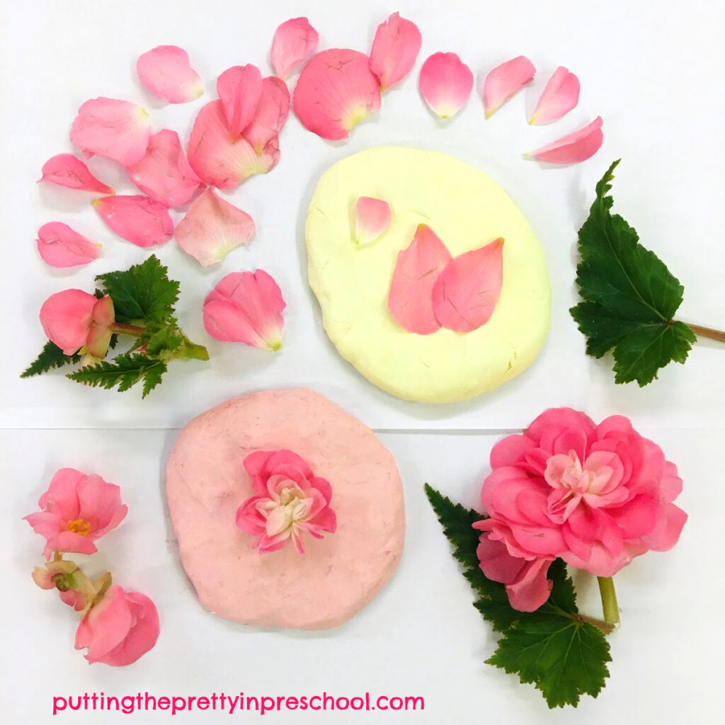 Coconut and strawberry playdough with nonstop pink begonia leaves and flower petals.