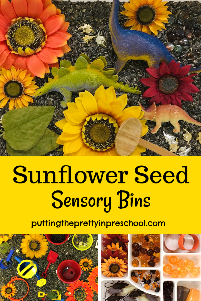 Three sunflower seed sensory bins. Dinosaurs, sunflowers, pumpkins, sand toys, and loose parts are highlights of the bins.