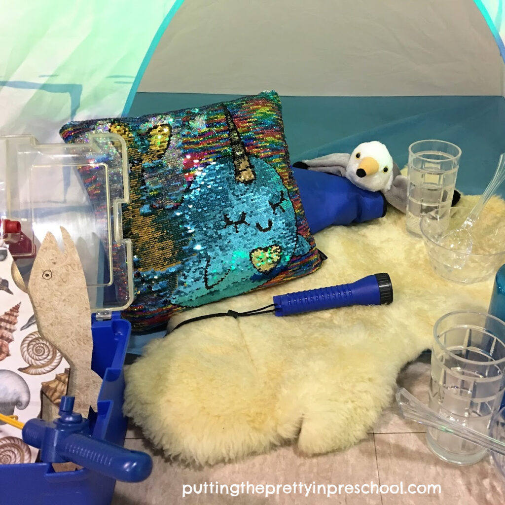 Glam igloo dramatic play center with polar themed accessories.