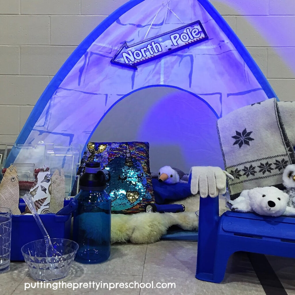 An arctic pretend play center with lighted igloo, polar animals, and glam accessories.