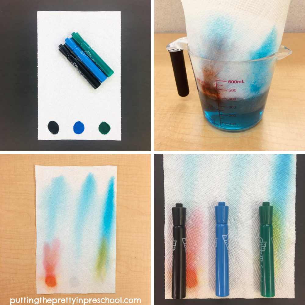 See what colors felt pens are really made up of with this felt pen chromatography experiment.
