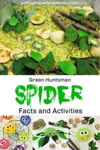 Get to know the webless green huntsman spider through crafts and sensory play activities. Free printable included.