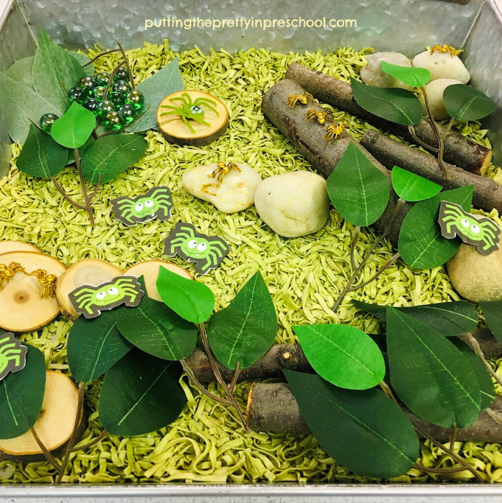 An oh-so-green spider sensory tray featuring green huntsman spiders.