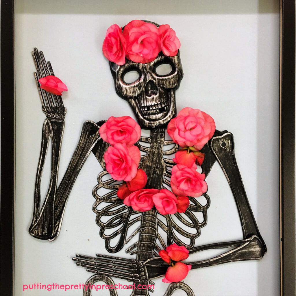 Pink begonia flowers soften up this skeleton and give young children a chance to be floral designers.