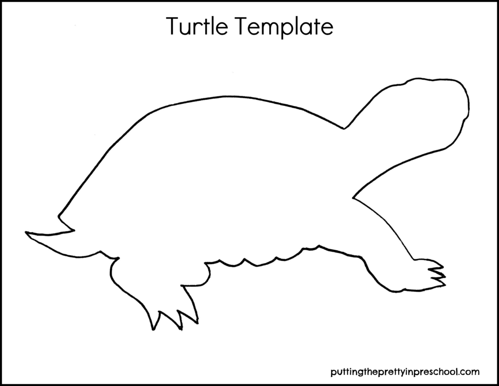 Turtle template for art and craft activities.