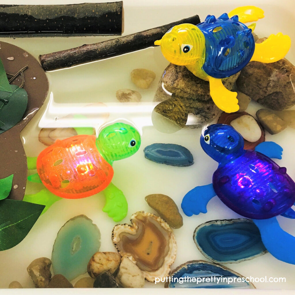 Three "toss and dive" turtles are the stars of this pond sensory bin.