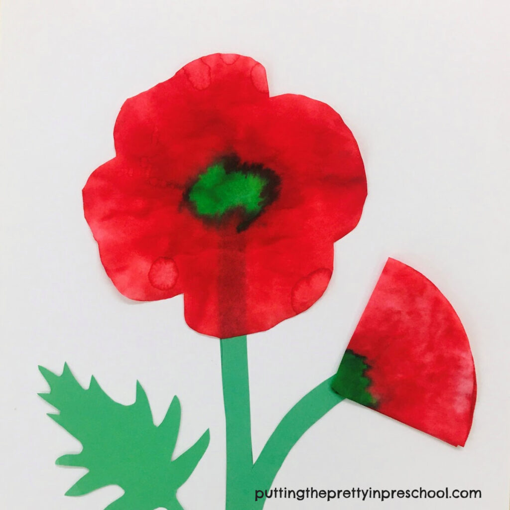 This showy poppy and bud art activity is easy and fun to create.
