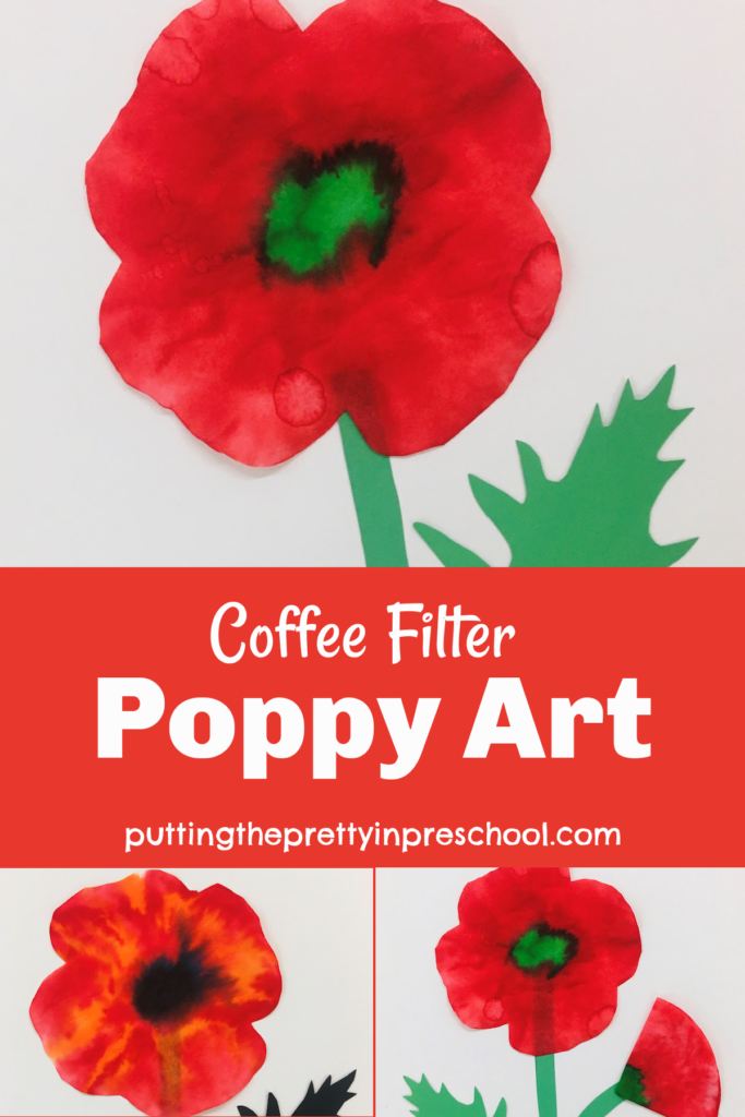 In Flanders Field” Poem with Poppy Photograph Printable - Printable Craft  Patterns