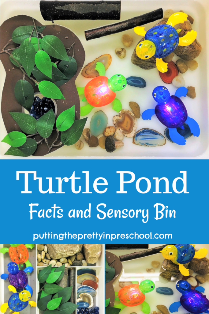 Easy to sert up nature-based tutle pond sensory bin.
