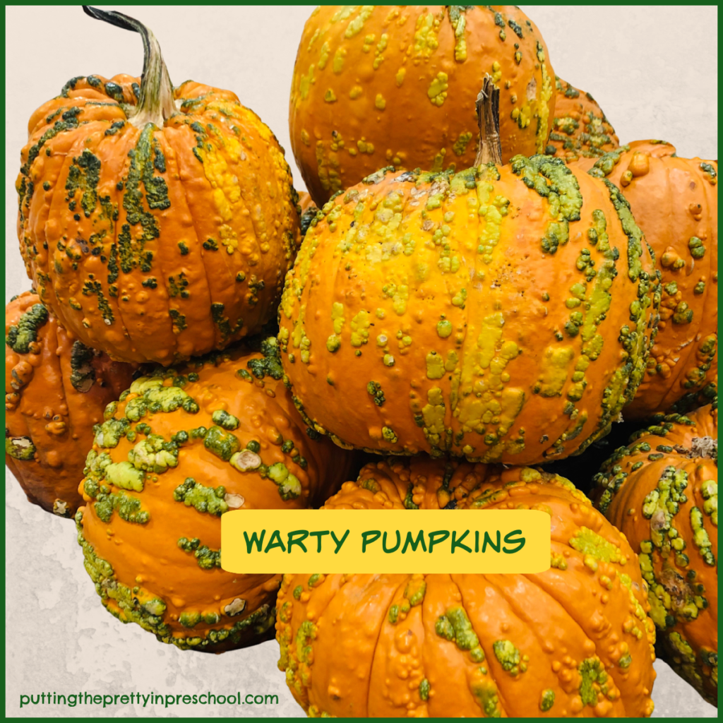 Warty pumpkins are trending in fall decorating projects. They add ornamentation, contrast, and edginess in displays.