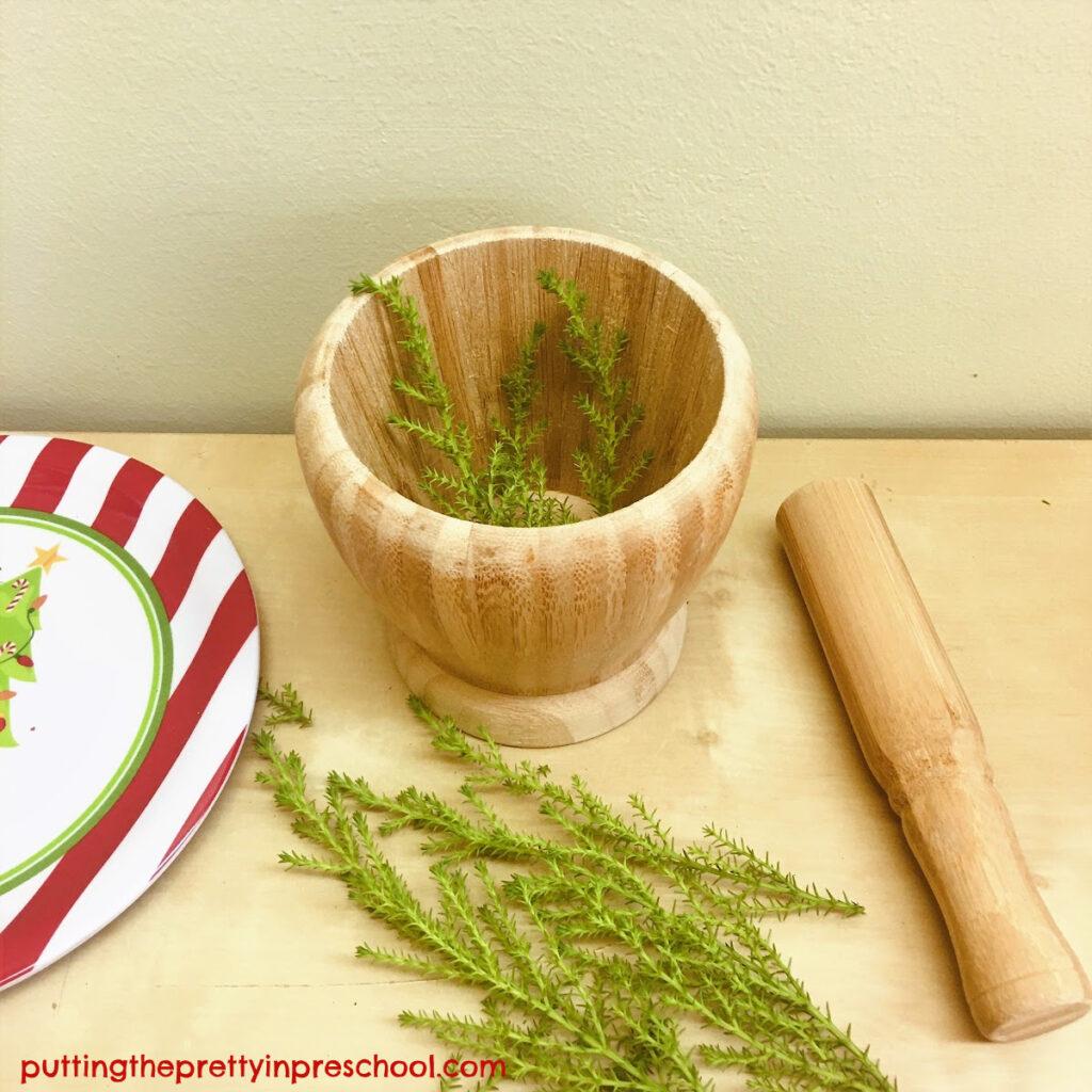 Using a mortar and pestle with lemon cypress sprigs brings out the lemon fragrance.