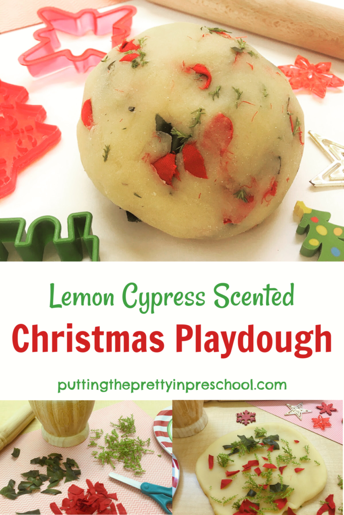 Christmas playdough infused with cut lemon cypress sprigs and cut silk poinsettia leaves and bracts.