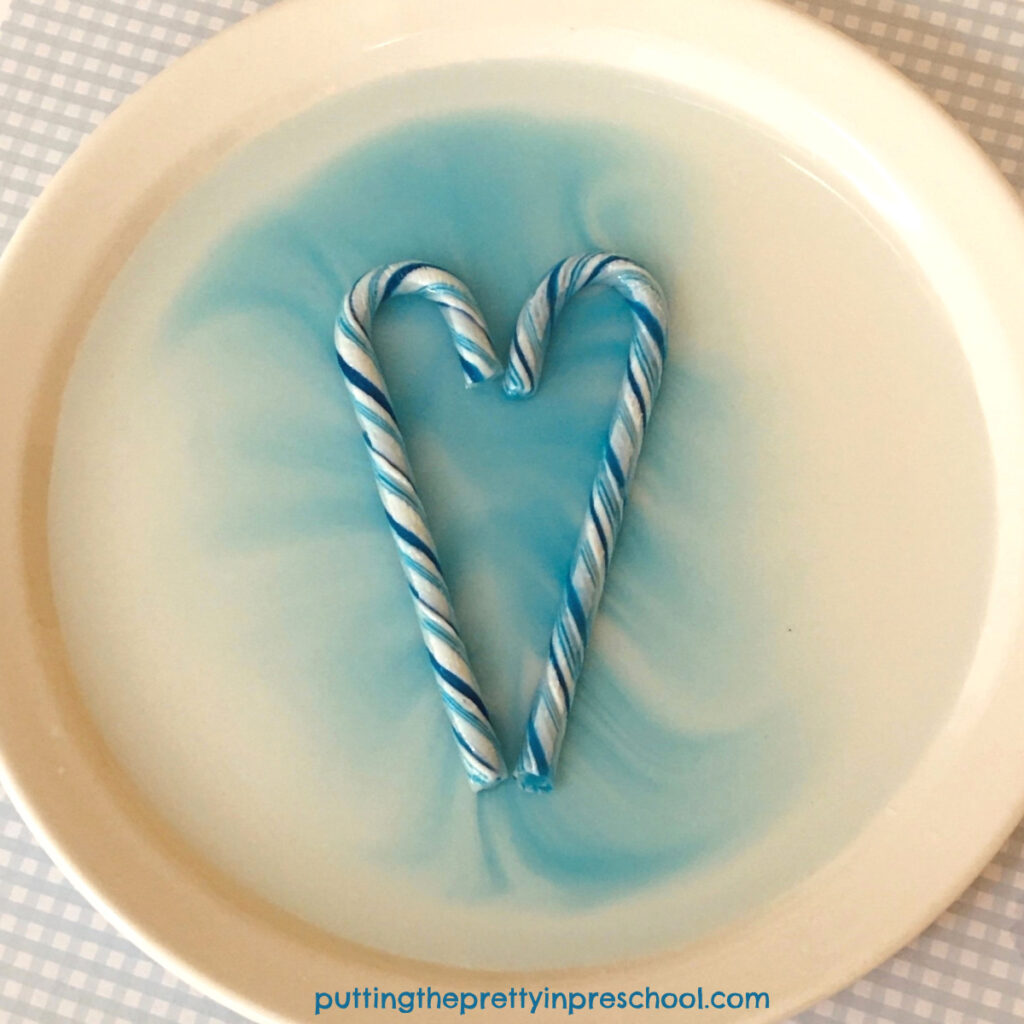 A pretty blue candy cane science experiment that will wow little learners.