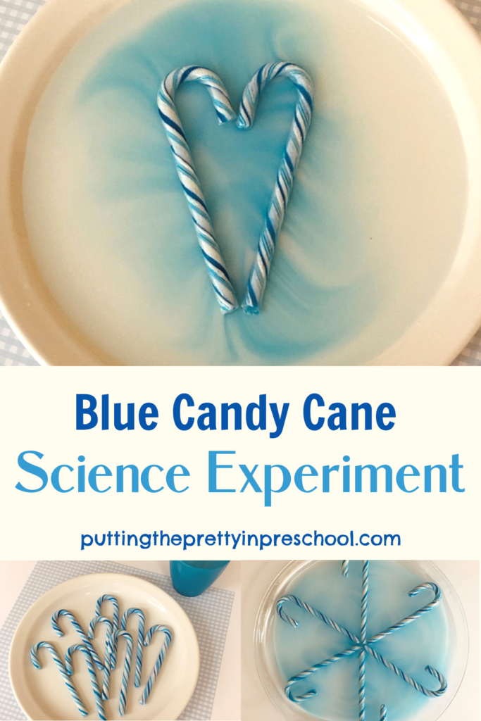 This easy-to-do blue candy cane science experiment is perfect for winter and transitions nicely into Valentine's Day.