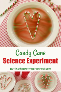 This easy-peasy candy cane science experiment shows immediate results and brings the WOW factor, perfect for little learners!